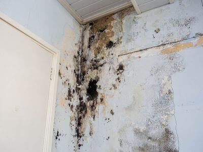 About Water Damage Restoration Alameda - water damage restoration experts in Alameda